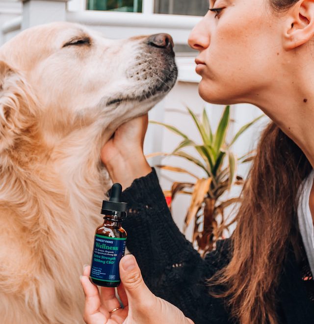 Delta 8 THC Topicals and Pets: What You Need to Know